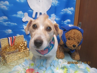 ファイル 8089-1.jpg