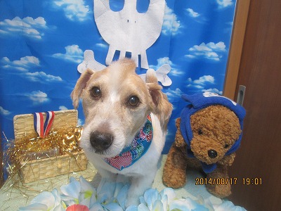 ファイル 8089-2.jpg