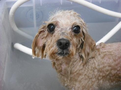 ファイル 809-2.jpg