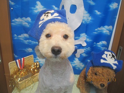 ファイル 8090-1.jpg