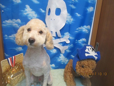 ファイル 8090-2.jpg