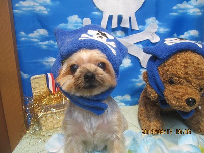 ファイル 8091-1.jpg