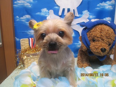 ファイル 8091-2.jpg