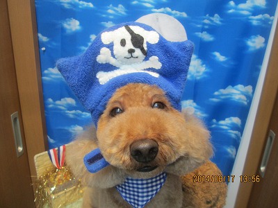 ファイル 8092-1.jpg