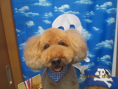 ファイル 8092-2.jpg