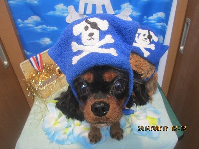 ファイル 8093-1.jpg