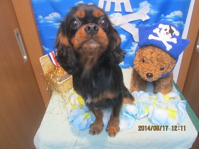 ファイル 8093-2.jpg