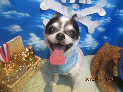 ファイル 8094-1.jpg