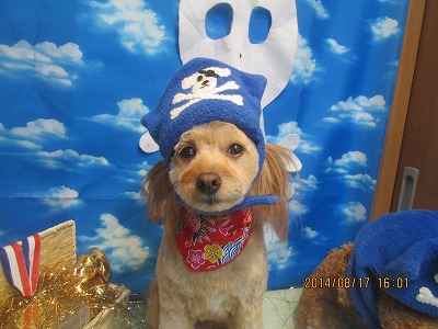 ファイル 8095-1.jpg