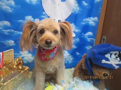 ファイル 8095-2.jpg