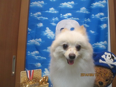 ファイル 8096-2.jpg