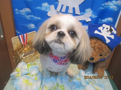 ファイル 8097-1.jpg