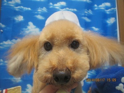 ファイル 8099-1.jpg