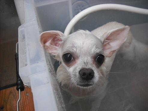 ファイル 81-2.jpg