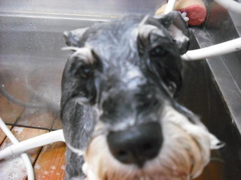 ファイル 810-2.jpg