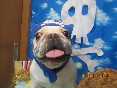 ファイル 8100-1.jpg