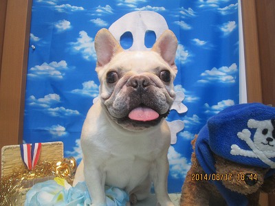 ファイル 8100-2.jpg