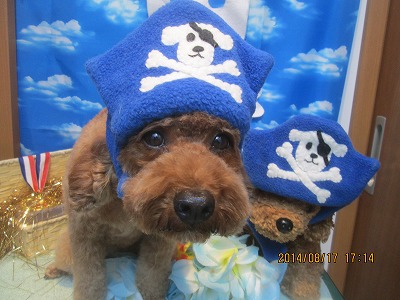 ファイル 8101-1.jpg