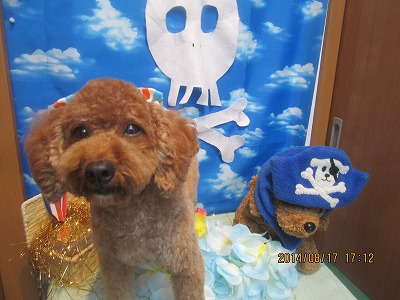 ファイル 8101-2.jpg