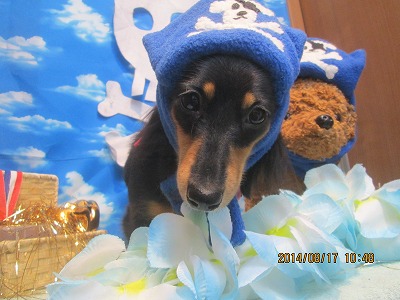 ファイル 8102-1.jpg