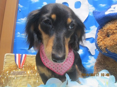 ファイル 8102-2.jpg