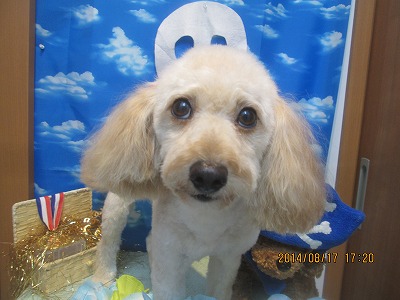 ファイル 8103-2.jpg