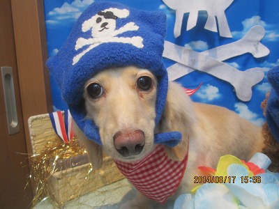 ファイル 8104-1.jpg