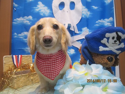 ファイル 8104-2.jpg