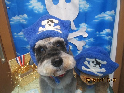 ファイル 8105-1.jpg