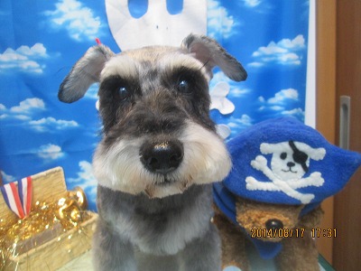 ファイル 8105-2.jpg