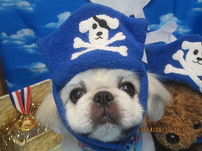 ファイル 8106-1.jpg