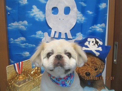 ファイル 8106-2.jpg