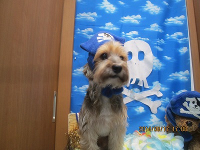 ファイル 8107-2.jpg