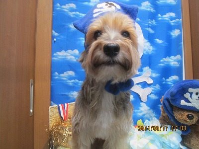 ファイル 8107-3.jpg