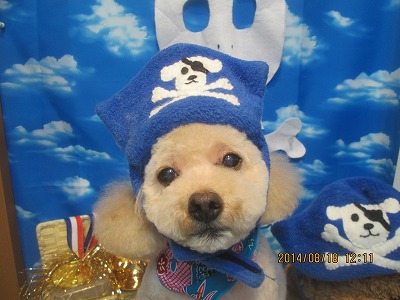 ファイル 8108-1.jpg