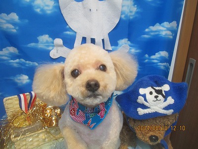 ファイル 8108-2.jpg