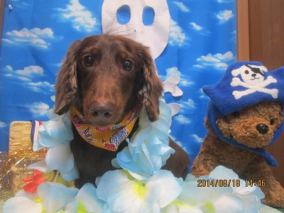 ファイル 8109-1.jpg