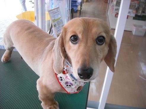 ファイル 811-1.jpg