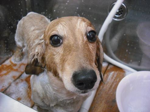 ファイル 811-2.jpg