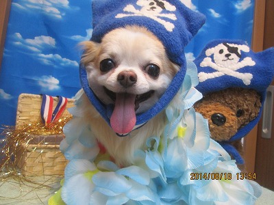 ファイル 8110-1.jpg