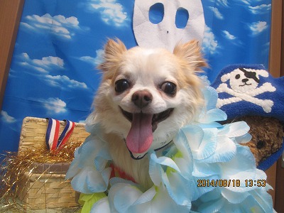 ファイル 8110-2.jpg