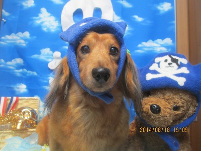 ファイル 8112-1.jpg