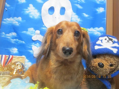 ファイル 8112-2.jpg