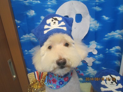 ファイル 8114-1.jpg