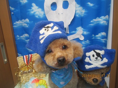 ファイル 8115-1.jpg