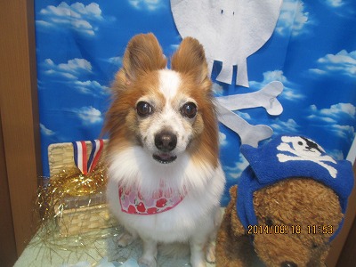 ファイル 8117-1.jpg