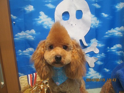 ファイル 8118-1.jpg