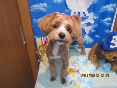 ファイル 8119-2.jpg