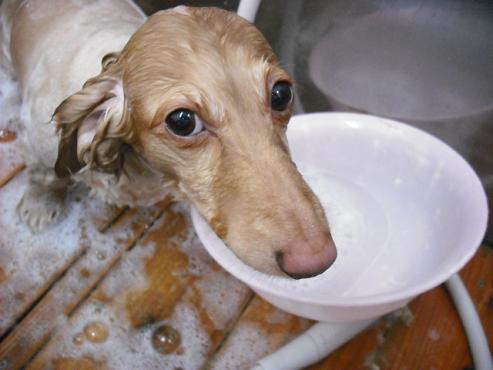 ファイル 812-3.jpg