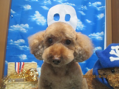 ファイル 8120-2.jpg